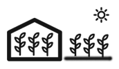 Прекрасная работа как в закрытом, так и в открытом грунтеExcellent work both in the field and in the greenhouse